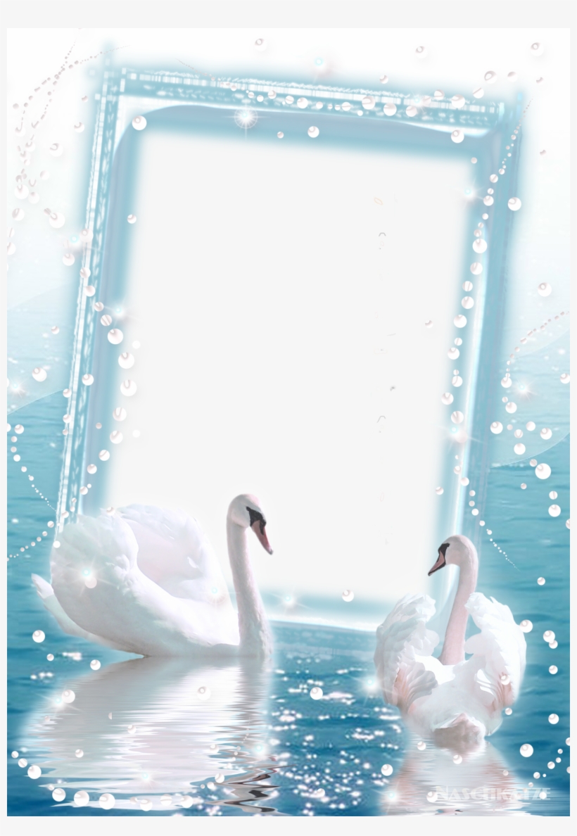 Transparent Photo Frame With Two Swans - Love Four Times Over: Four Historical Romances, transparent png download