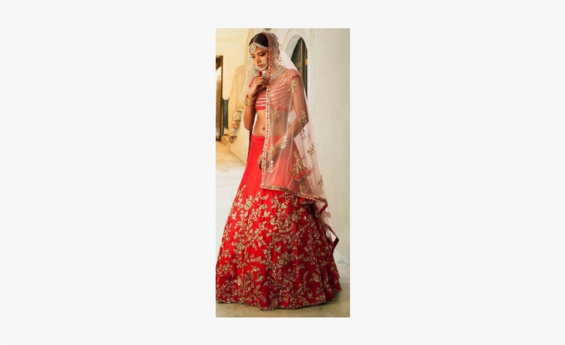 Delicately Handcrafted Design For Exclusive Lehenga - Lehenga, transparent png download