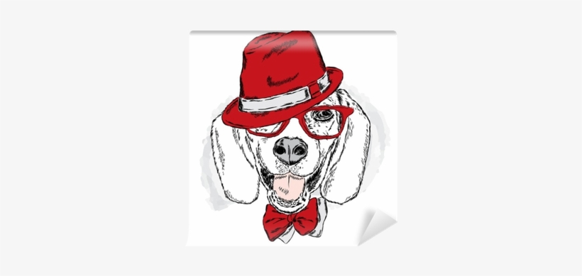 Funny Dog With Hat And Glasses - Gearbest Laima Bz061 Dog With Earphone Pattern Pillow, transparent png download