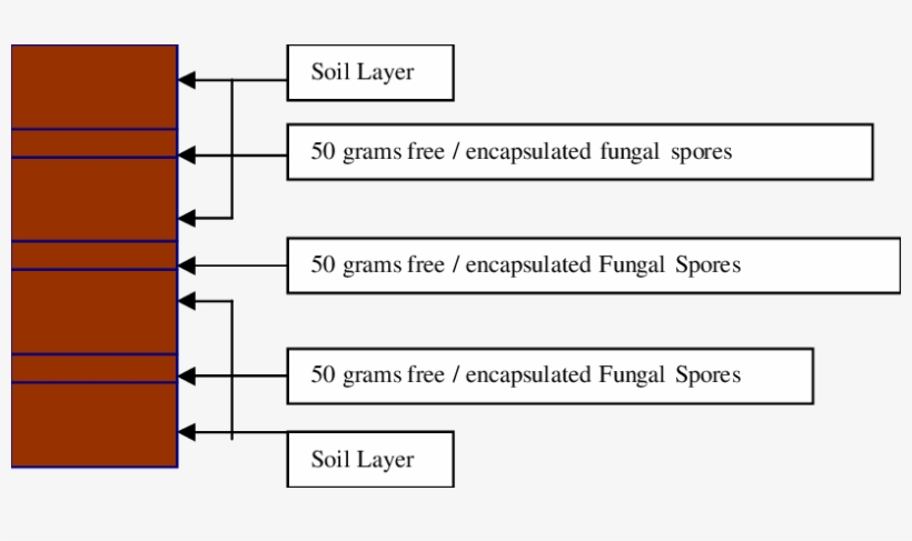 Soil Stability Study Setup - Number, transparent png download
