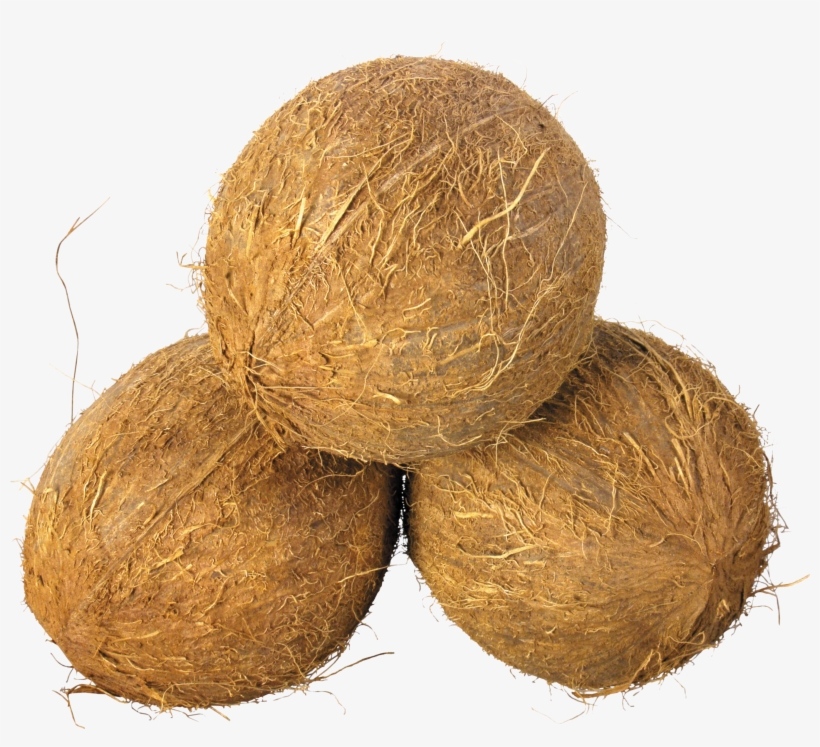 Coconuts Png Image - Coconuts Png, transparent png download