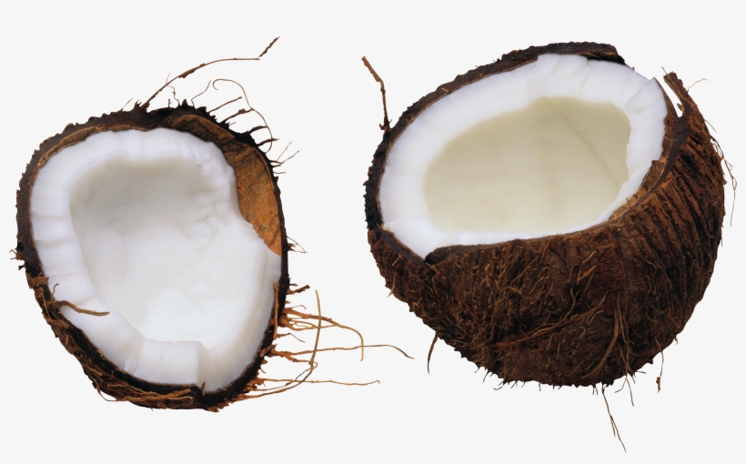 Coconut Png Image - Coconut Png For Photoshop, transparent png download