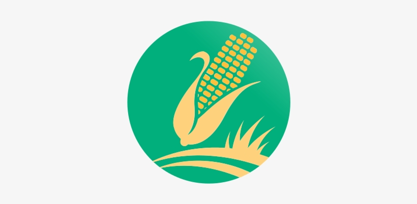 India's Growth Story Is Poised For A Facelift, With - Agriculture, transparent png download