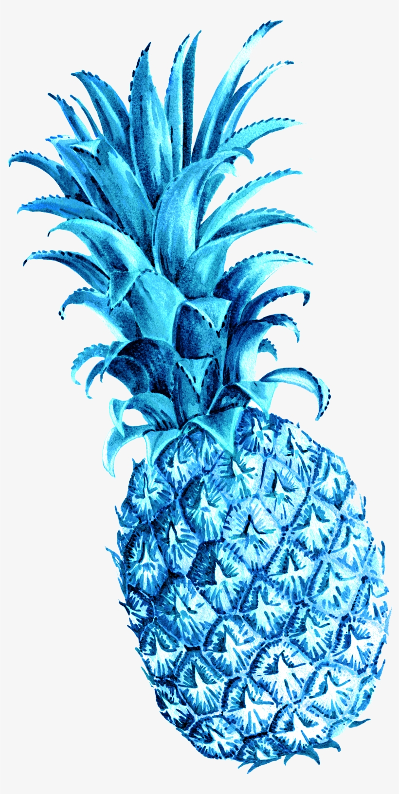 Pineapple, transparent png download