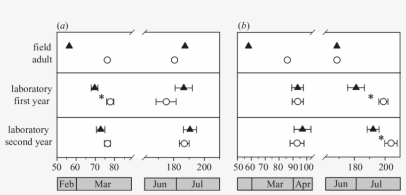 Julian Date Of Onset (left Symbol) And End (right Symbol) - Julian Day, transparent png download