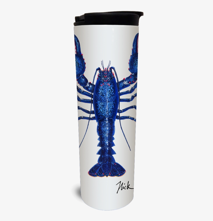 Blue Lobster 3 Steel Tumbler - Watermark, transparent png download