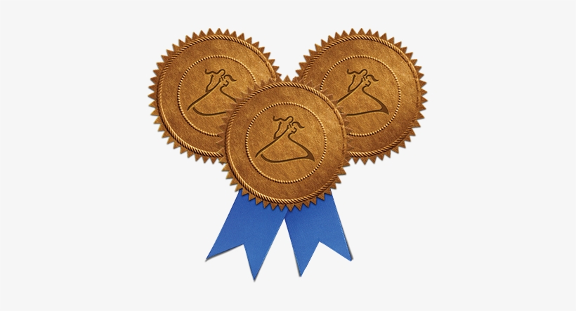 This Standard Has Proven To Be The Most Desirable Dancing - Arthur Murray Medal, transparent png download