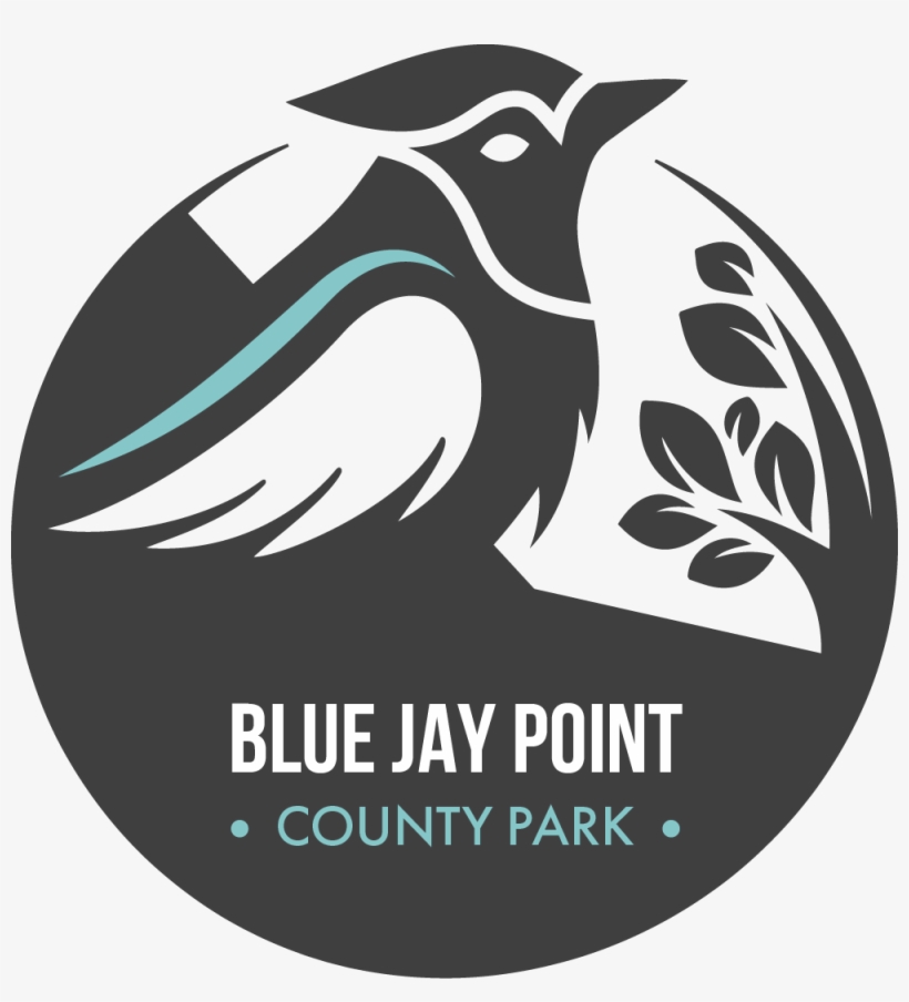Bjp Transparent - County Sports Partnership Network, transparent png download