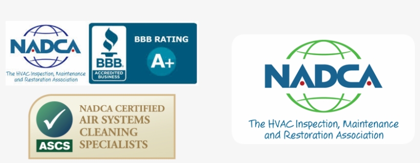 Niagara Duct Cleaning - Vintage 14k White Gold Diamond Starfish Pendant Necklace, transparent png download