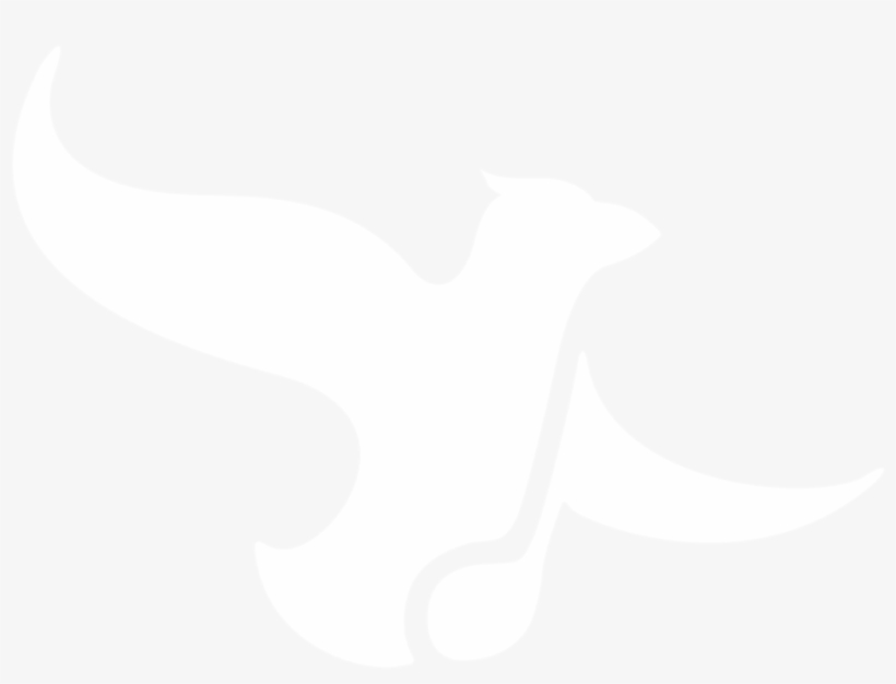 Bird White - White Photo For Instagram, transparent png download