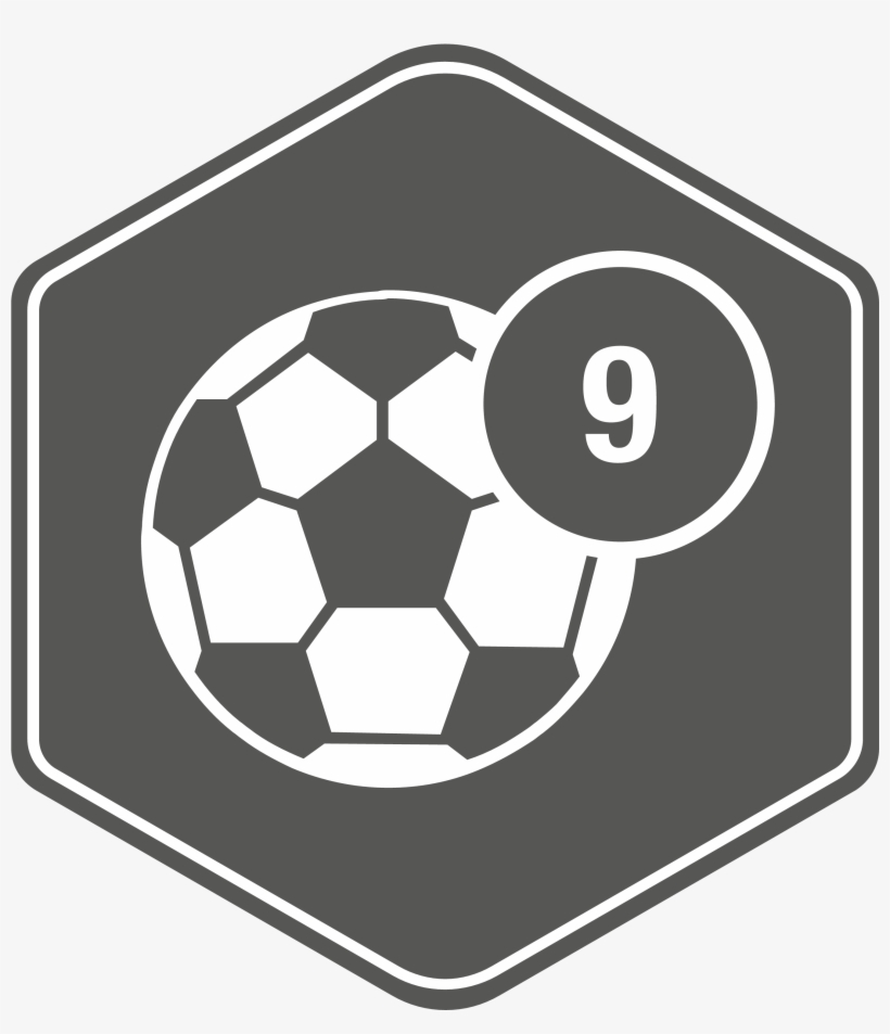 Ballnet - Lacrosse And Soccer, transparent png download