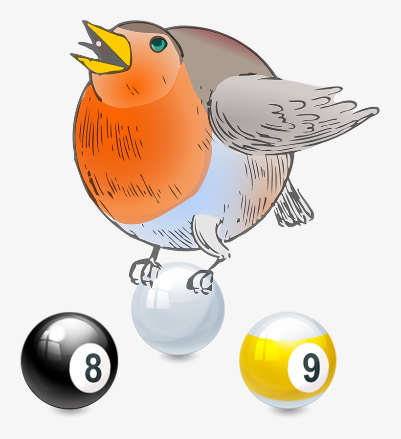 8-9 Ball Advanced Tournaments - Round Robin, transparent png download