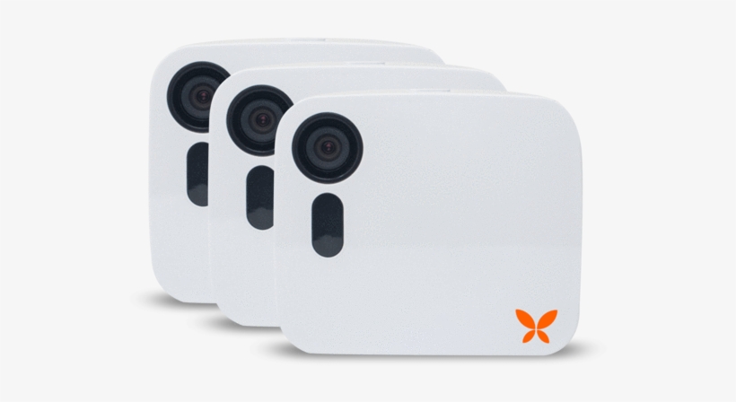 Security Camera [three Pack] - Butterfleye, transparent png download