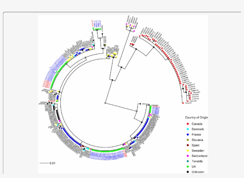 Bayesian Posterior Probability Node Support Values - Circle, transparent png download