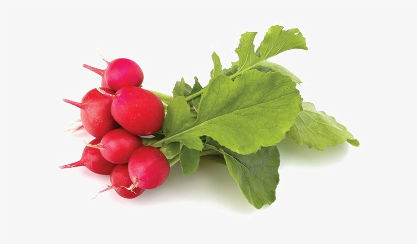 Radish Png Transparent, transparent png download