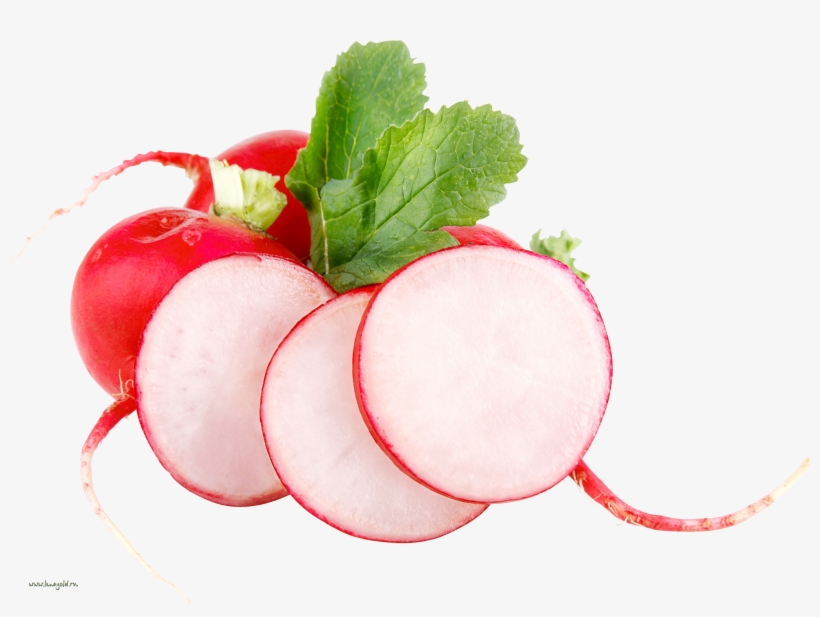 Radish Png - Rediska Png, transparent png download