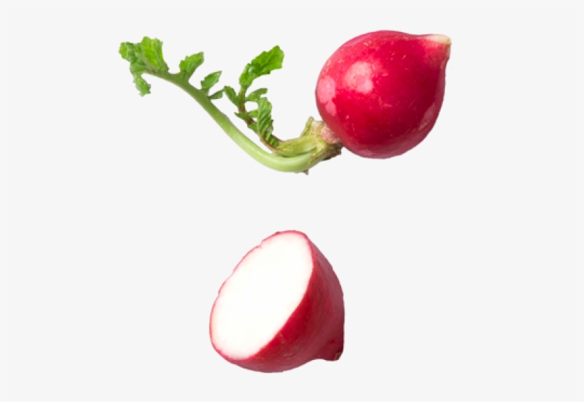 Radish - Vegetable, transparent png download