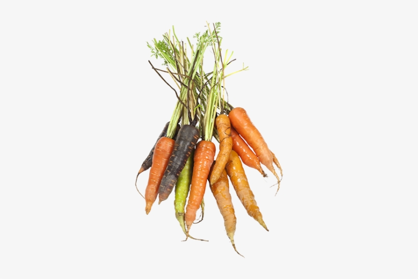 Products Used - Carrot, transparent png download