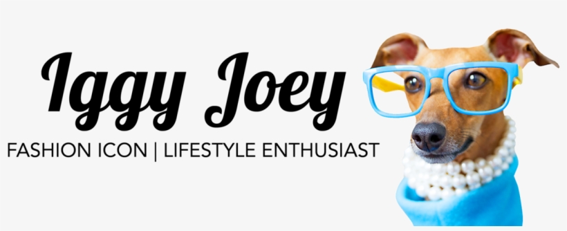 Famous Italian Greyhound, Fashion Icon & Lifestyle - Morning Journal - Intelligent Green: Blank Lined Journal, transparent png download