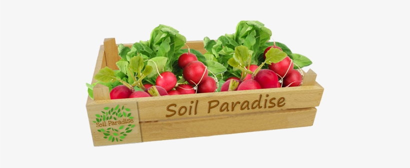 Fresh Lemonfresh Tomato - Box, transparent png download