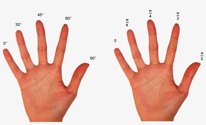 You - Hand, transparent png download