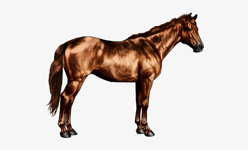 Black And Grey Horse, transparent png download