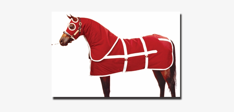 Burgandy & White Show Coat Blanket With Zipper Hood - Mare, transparent png download