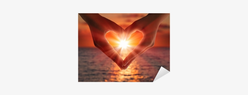 Abandoned For Love [book], transparent png download
