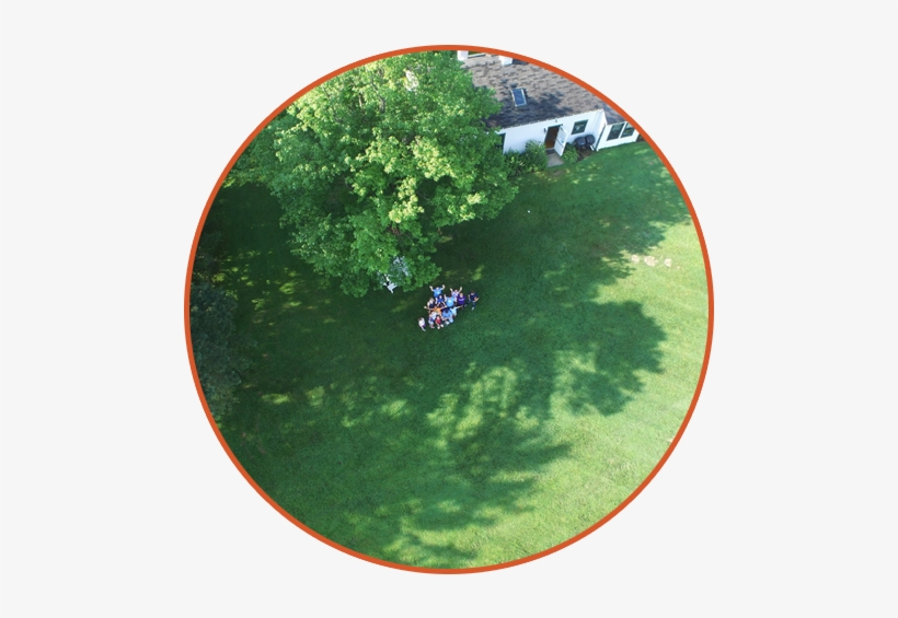 We Provide Educational Opportunities Aimed At Helping - Tree, transparent png download