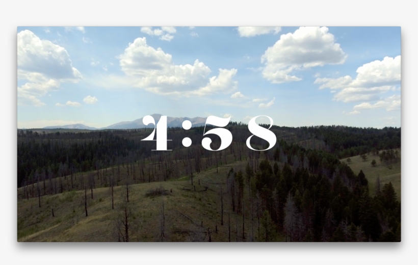 Shortleaf Black Spruce, transparent png download