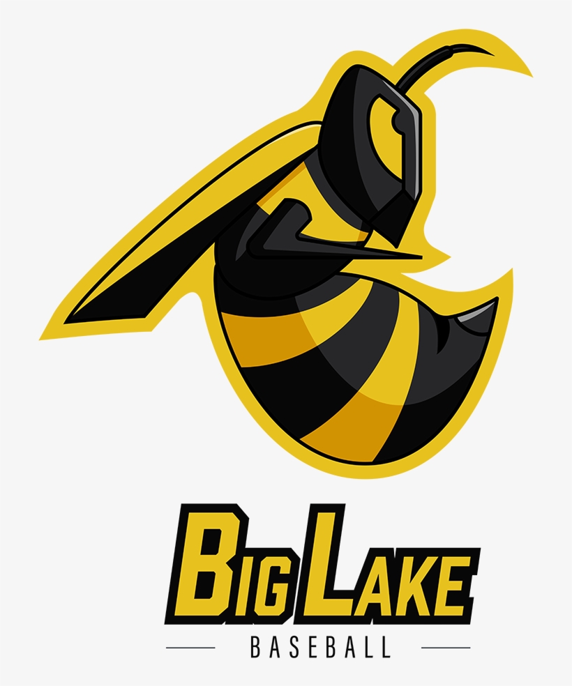 Hornet Png Logo, transparent png download