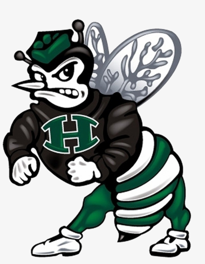 Huntsville Hornet Png, transparent png download