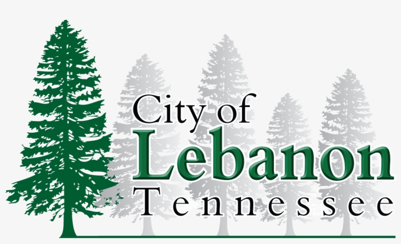 Aerial Photographs - 'it's Mugs By Everyday Mug - 'it's All Good In The, transparent png download