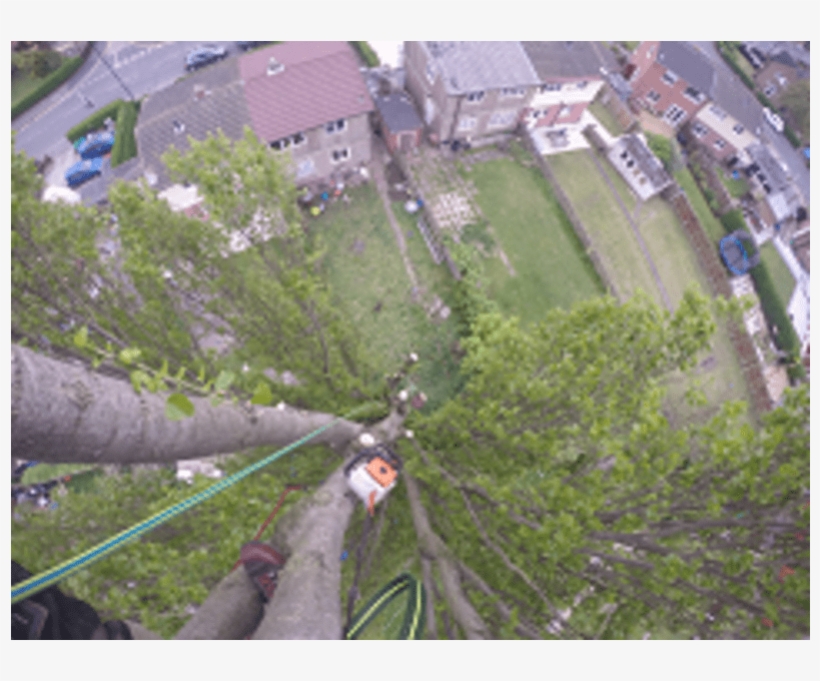 Aerial Photography, transparent png download