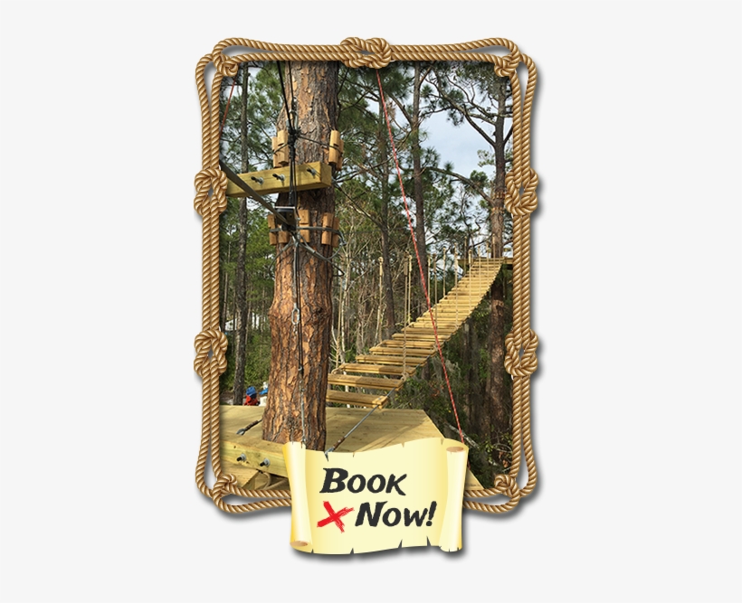 Booknow1 - Wood, transparent png download