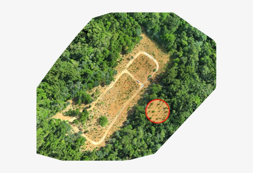 June 15, 2018 - Aerial Photography, transparent png download