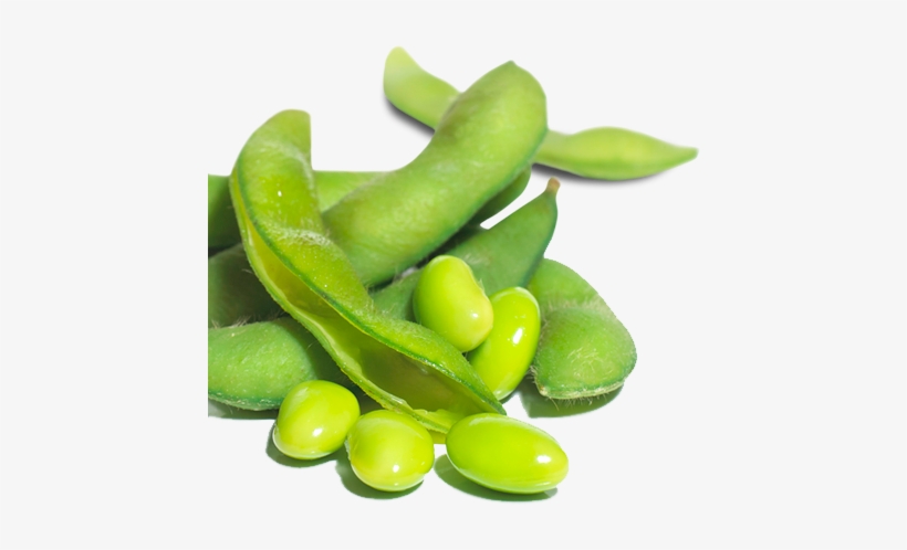 Green Bean Png - Soy Beans Transparent, transparent png download