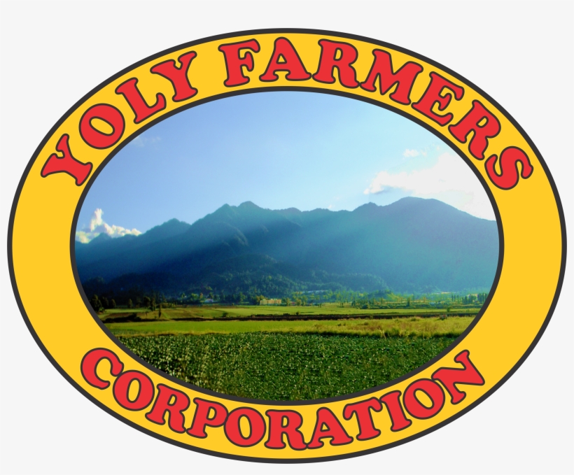 Parent Directory - Texas, transparent png download