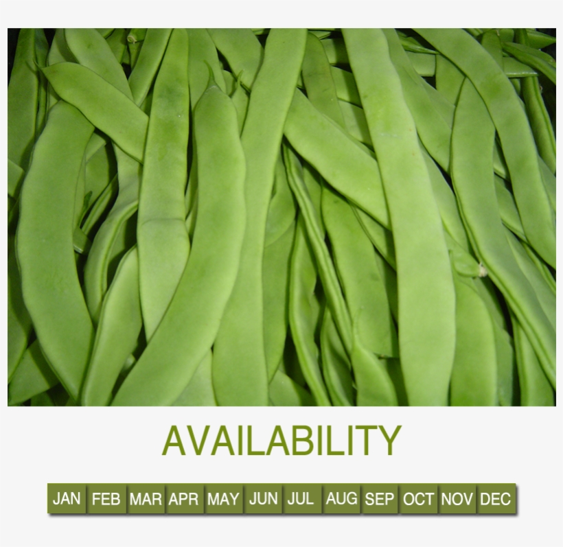 Green Bean - .com, transparent png download