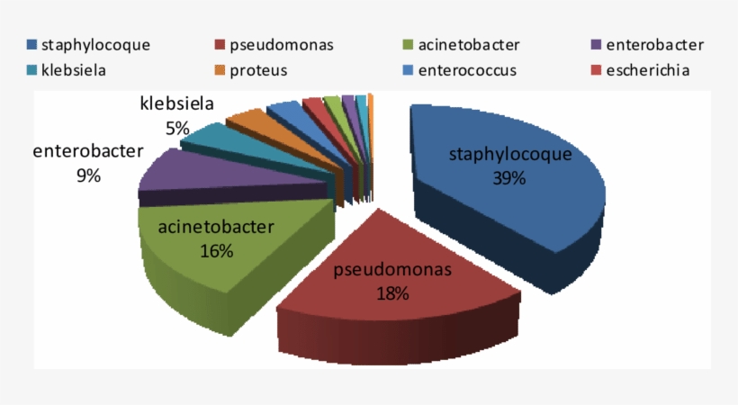 The Allocation Of The Burnt Sites According To The - Eau Dans Le Monde, transparent png download