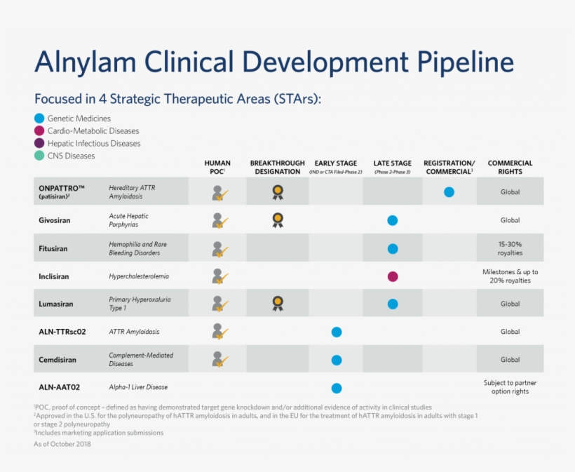 Our Pipeline Of Investigational Rnai Therapeutics Is - Jpeg, transparent png download