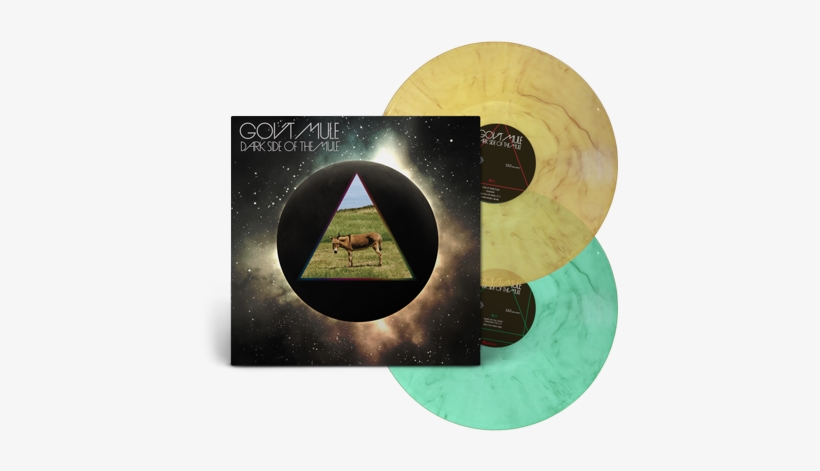 Dark Side Of The Mule - Gov T Mule The Dark Side, transparent png download
