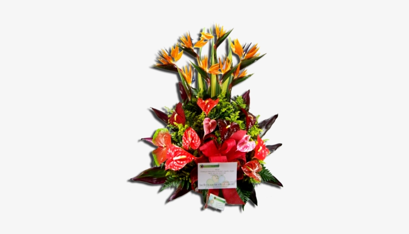 Flower Arrangements - Flower, transparent png download
