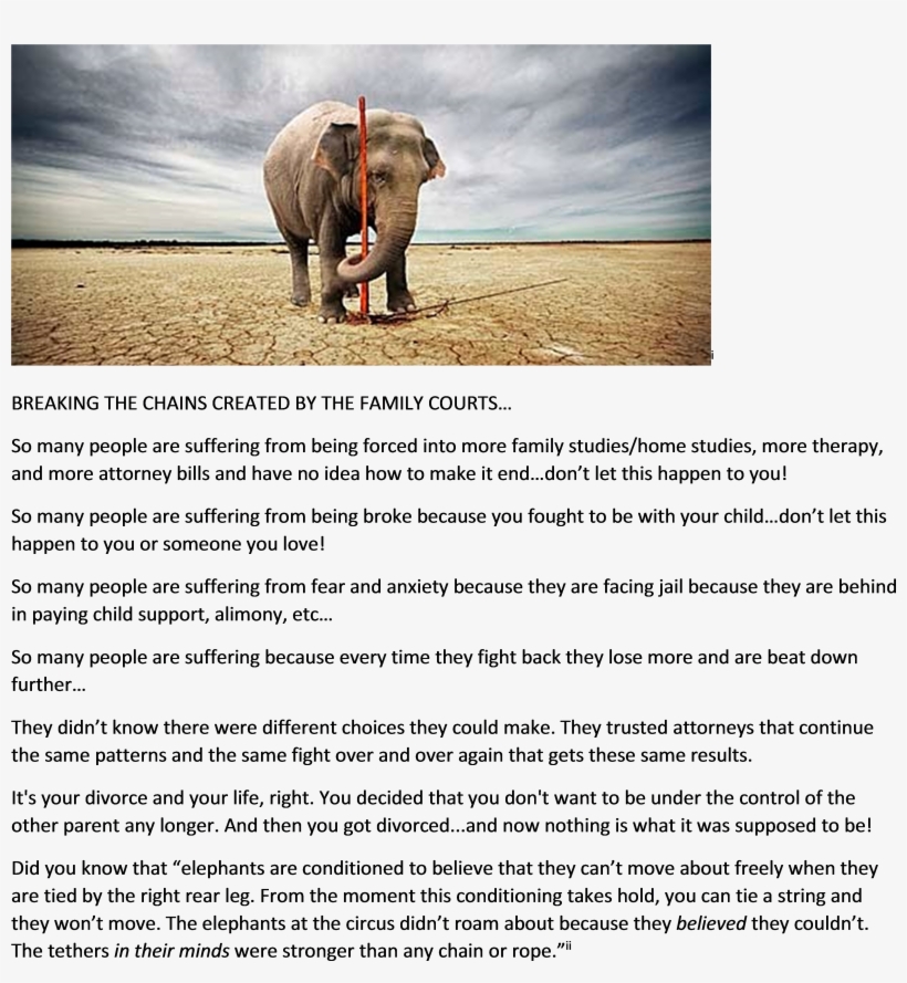 Breaking Free Of Family Court Chains Elephant 20140604 - Court, transparent png download