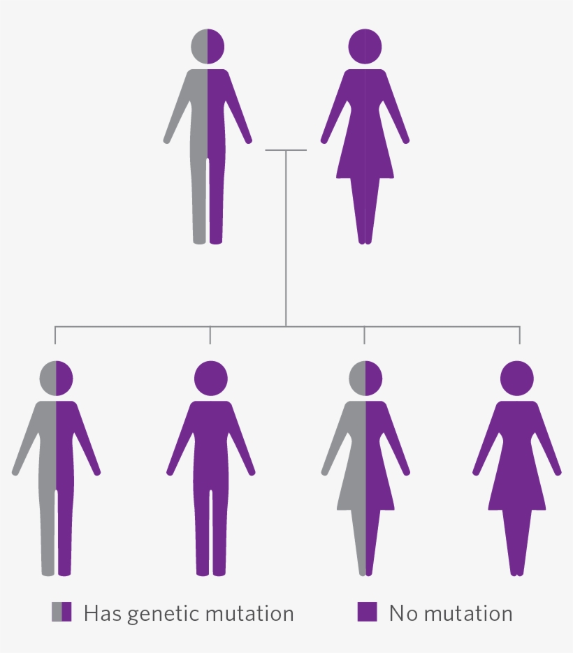 Typically Genetic Testing Is Recommended For Adults,, transparent png download