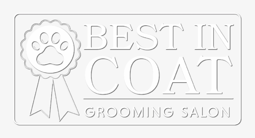 Bichomepage-shadow - Education Meme, transparent png download