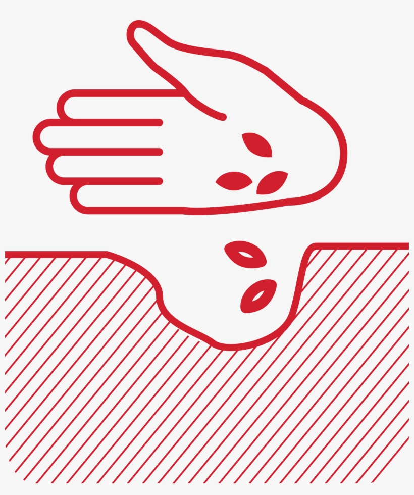 15 2838 Dupont Seed Forum Icon, transparent png download
