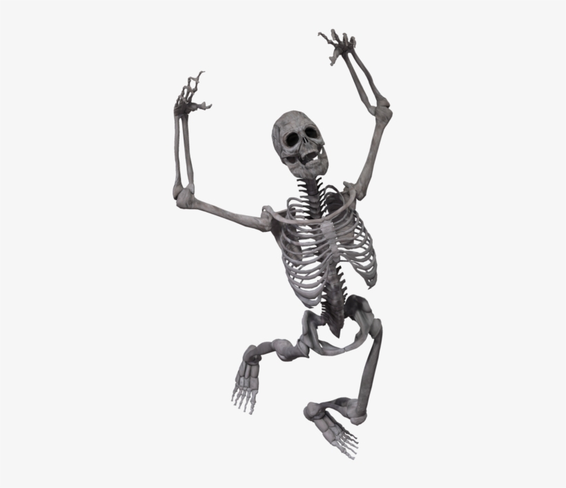 Skeleton Png - Skeleton Transparent, transparent png download