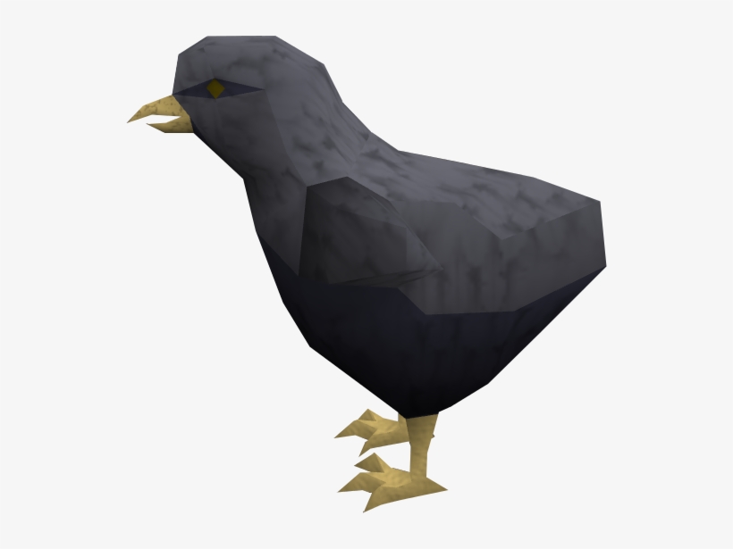Bird, transparent png download