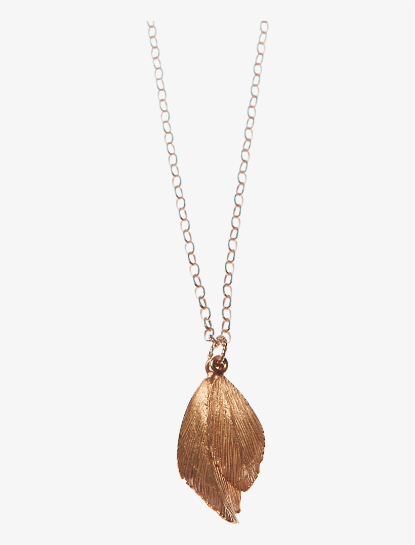Aurum Raven Feather Pendant Rose - Locket, transparent png download